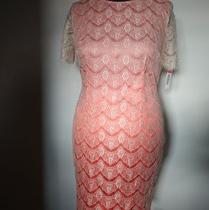 Pink Peach Ombre Delicate Lace Eyelash dress 14